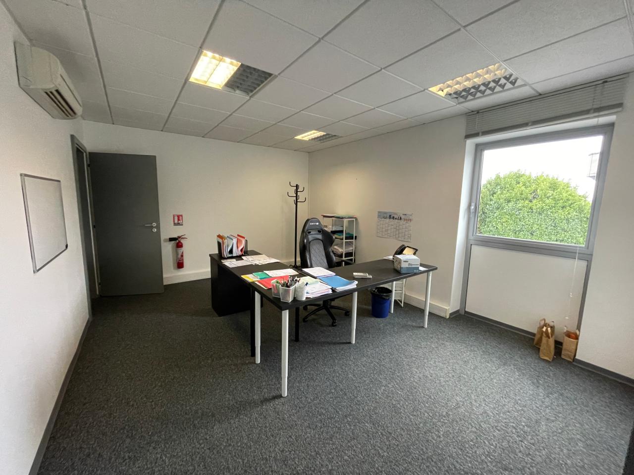 Location local d'activité Mundolsheim Bas-Rhin OLACT2537064 7