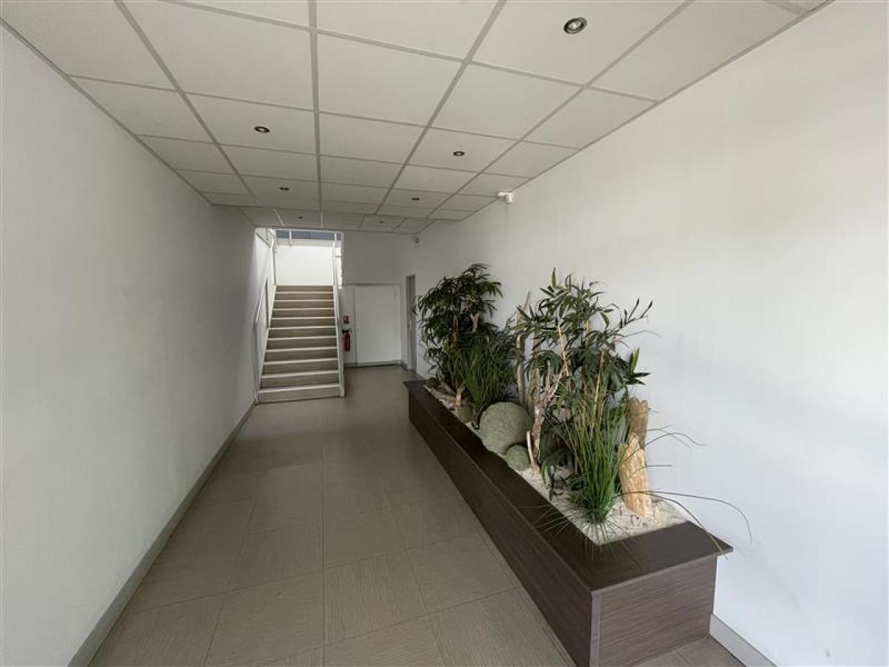 Location bureau Mauguio Hérault OLBUR2533545 2