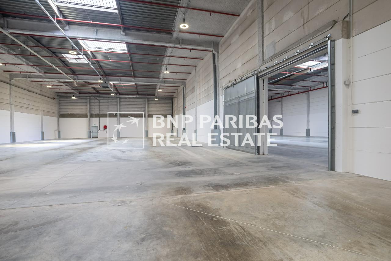Location local d'activité Rosny-sous-Bois Seine-Saint-Denis OLACT2536534 3
