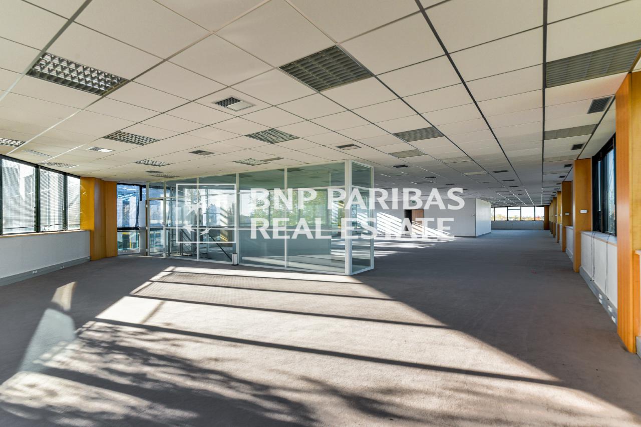 Location bureau Villebon-sur-Yvette Essonne OLBUR2103615 6