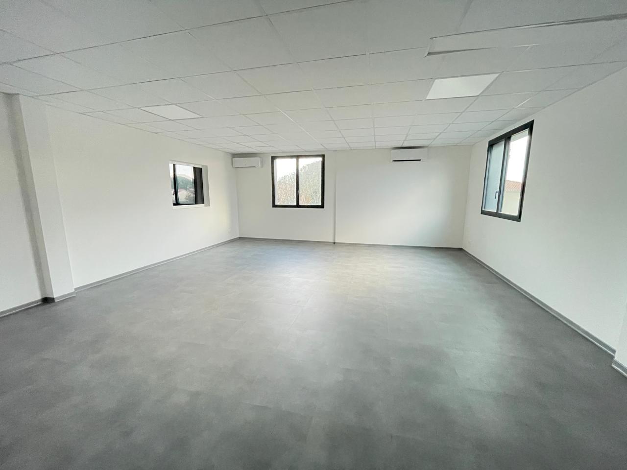 Location local d'activité Cugnaux Haute-Garonne OLACT2530160 11