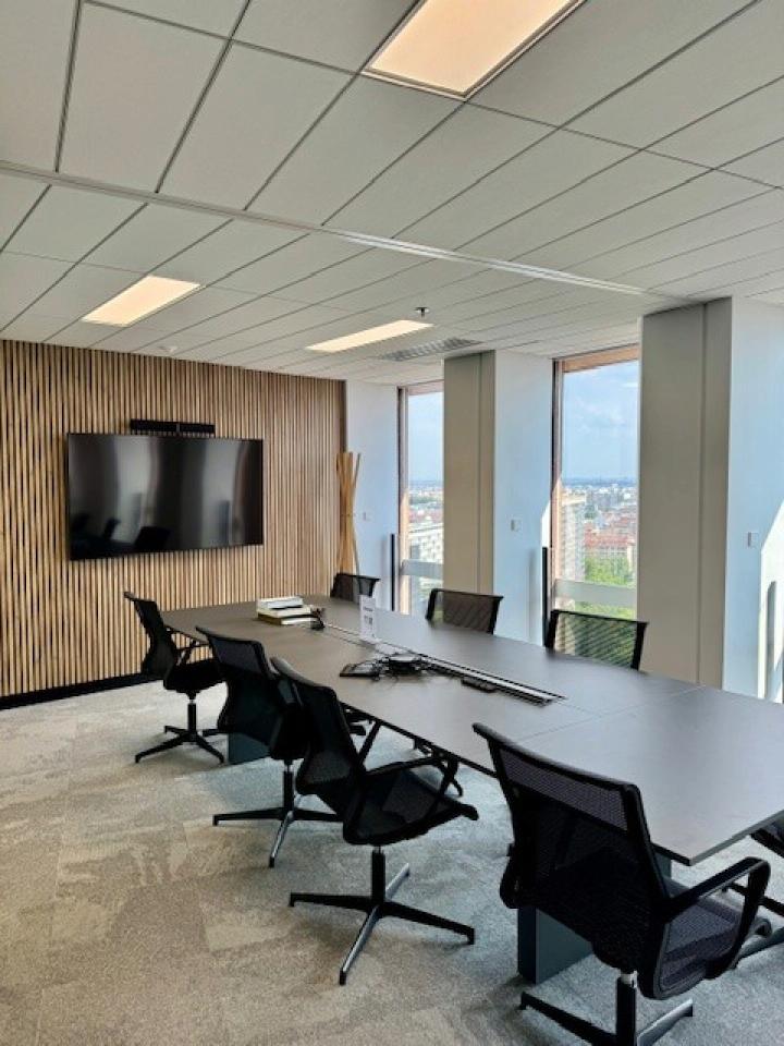 Location bureau Lyon Rhône OLBUR2533773 6