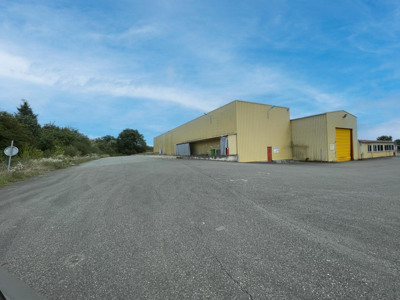 Vente local d'activité Saint-Trivier-sur-Moignans Ain OVACT2534885 3