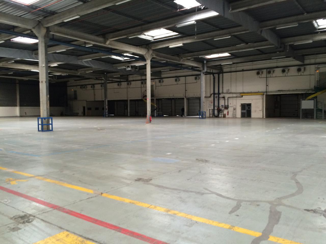 Location entrepôt Wissous Essonne OLLOG2529405 4