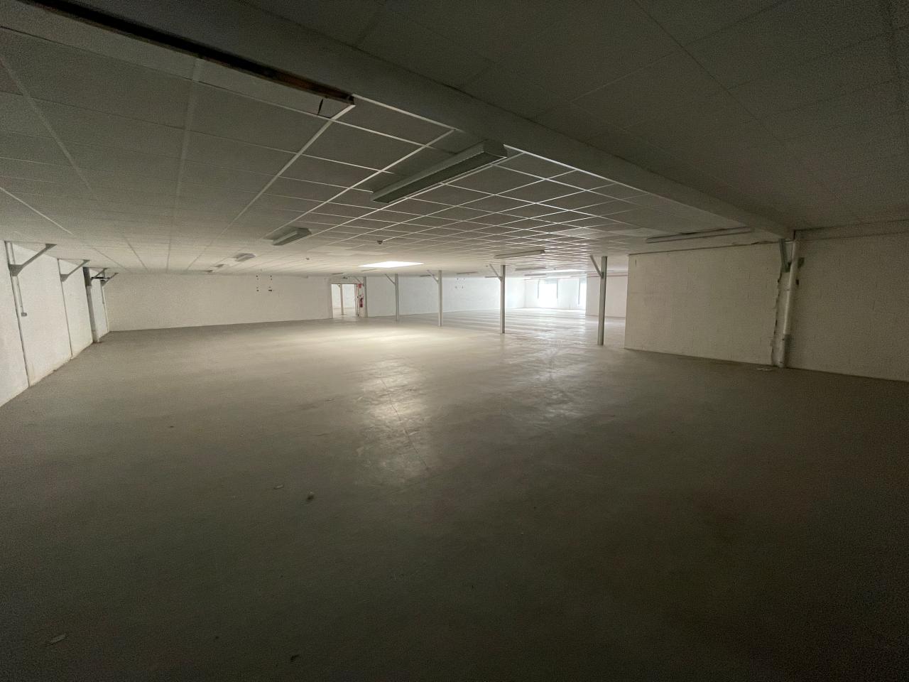 Location local d'activité Essey-lès-Nancy Meurthe-et-Moselle OLACT2424209 8