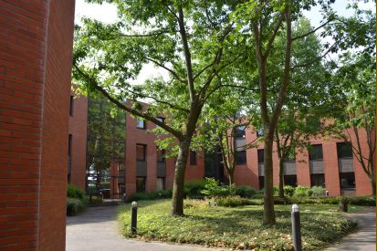 Location bureau Montigny-le-Bretonneux Yvelines OLBUR2203977 5