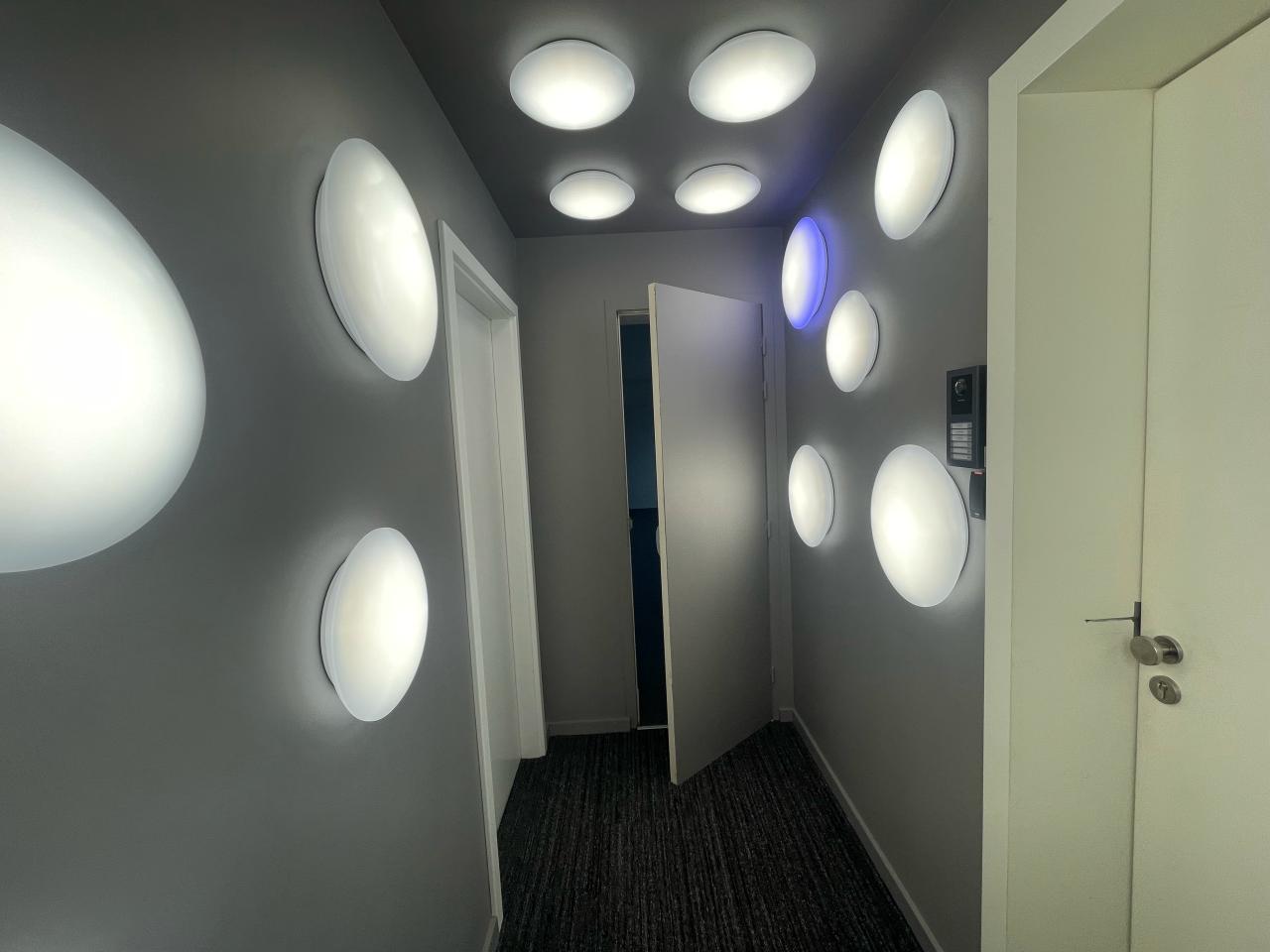 Location bureau Entzheim Bas-Rhin OLBUR2110815 7