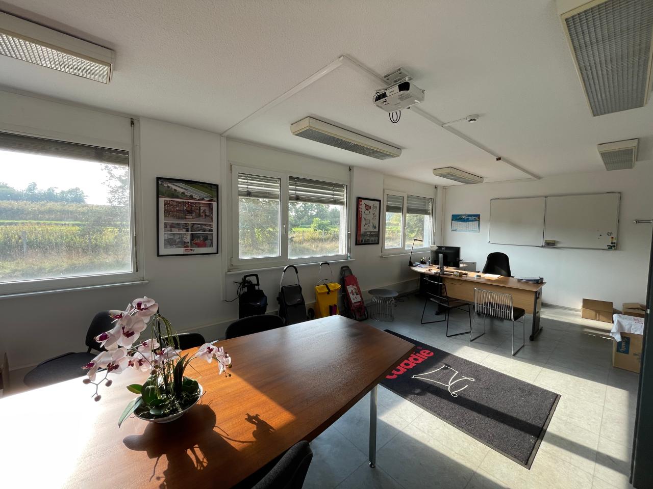 Vente local d'activité Dettwiller Bas-Rhin OVACT2536558 10