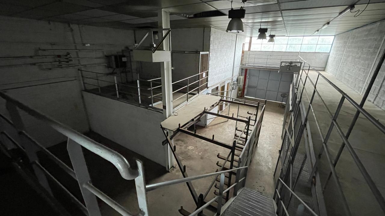 Location local d'activité Messein Meurthe-et-Moselle OLACT2532947 10