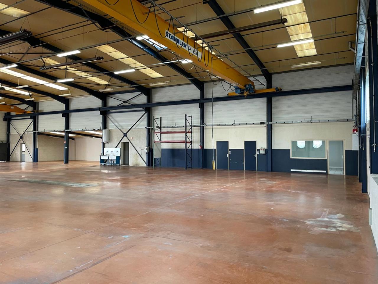 Location local d'activité Montanay Rhône OLACT2638606 12