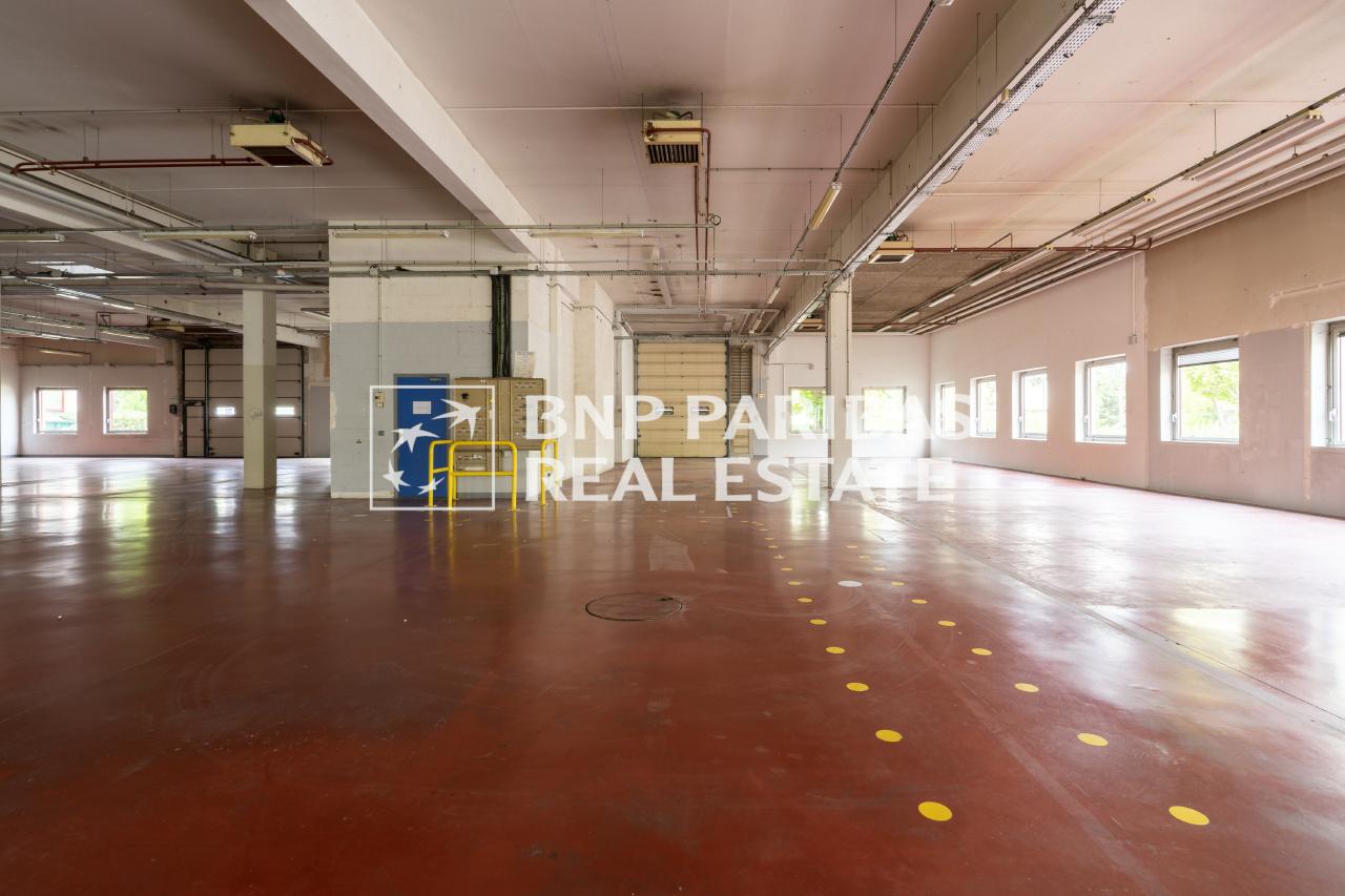 Location local d'activité Antony Hauts-de-Seine OLACT2309797 10