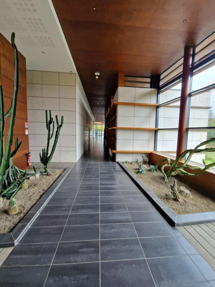 Vente local d'activité Roost-Warendin Nord OVACT2638648 8