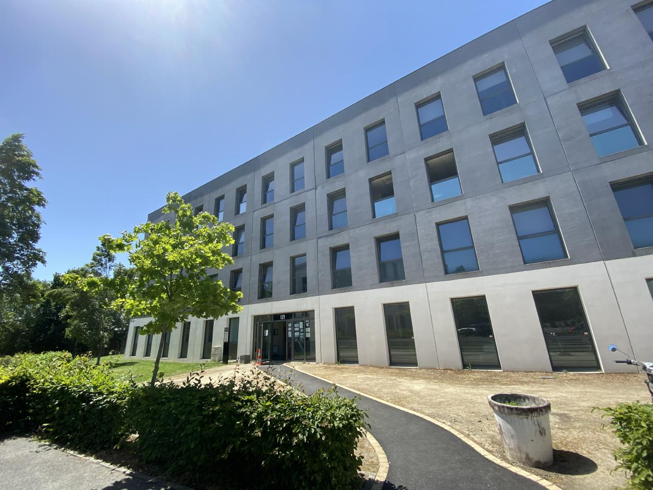 Location bureau OLBUR2422418 10