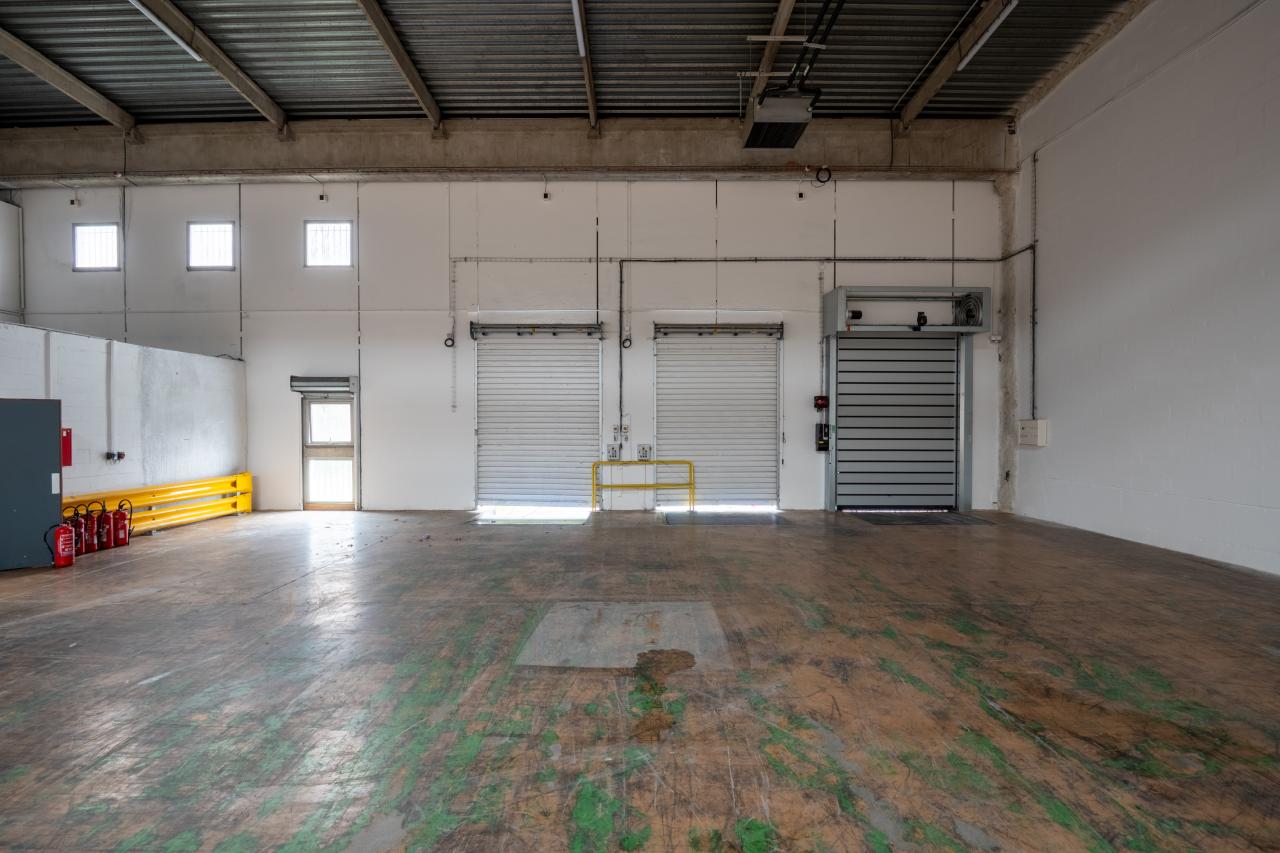 Vente entrepôt Croissy-Beaubourg Seine-et-Marne OVLOG2638449 5