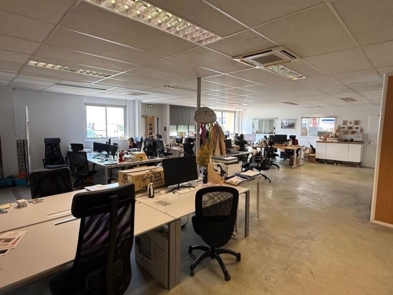 Location local d'activité Lyon Rhône OLACT2426261 8