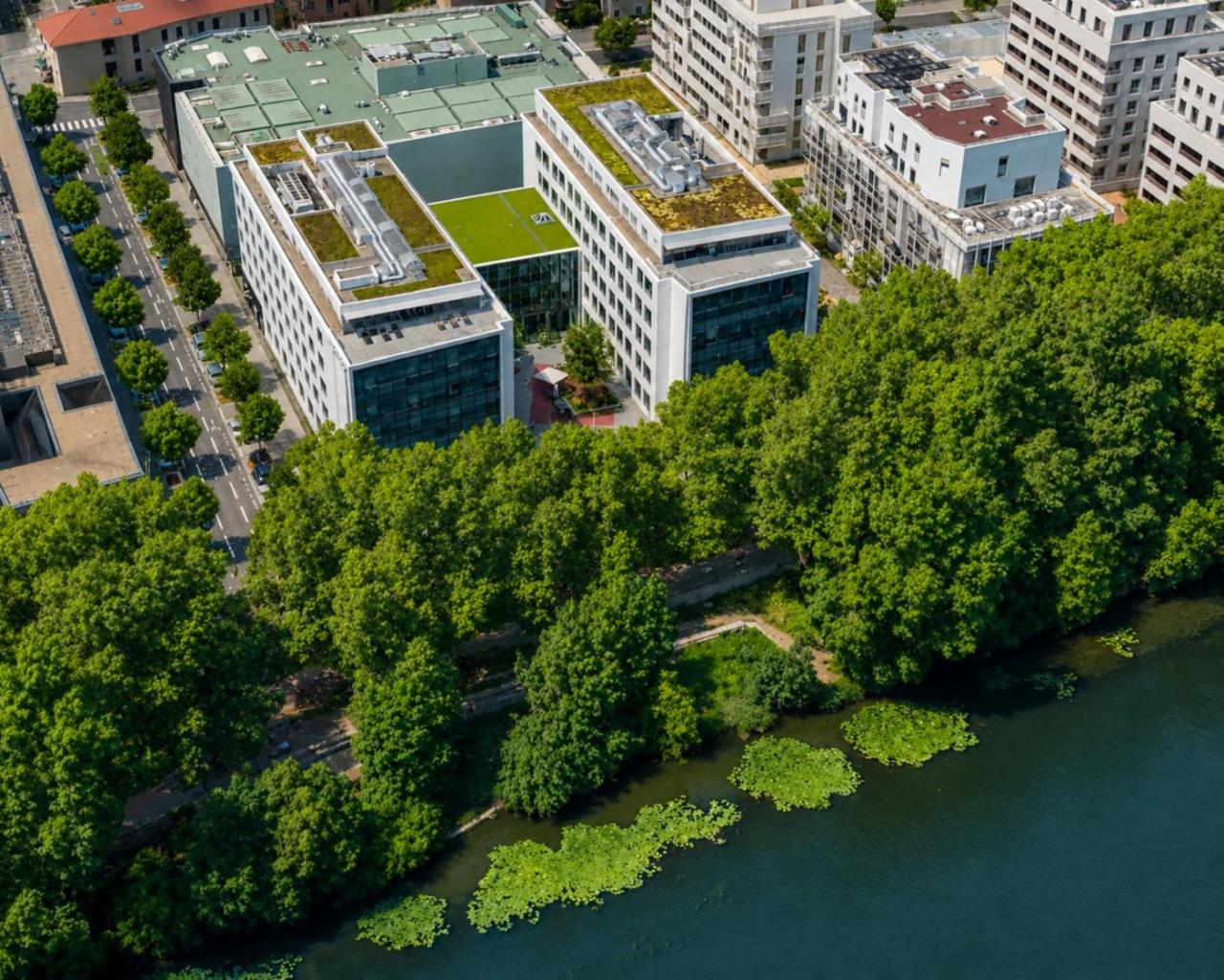Location bureau Lyon Rhône OLBUR2118931 3