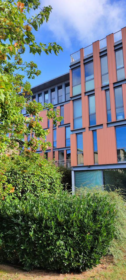 Vente bureau Lyon Rhône OVBUR2427532 7