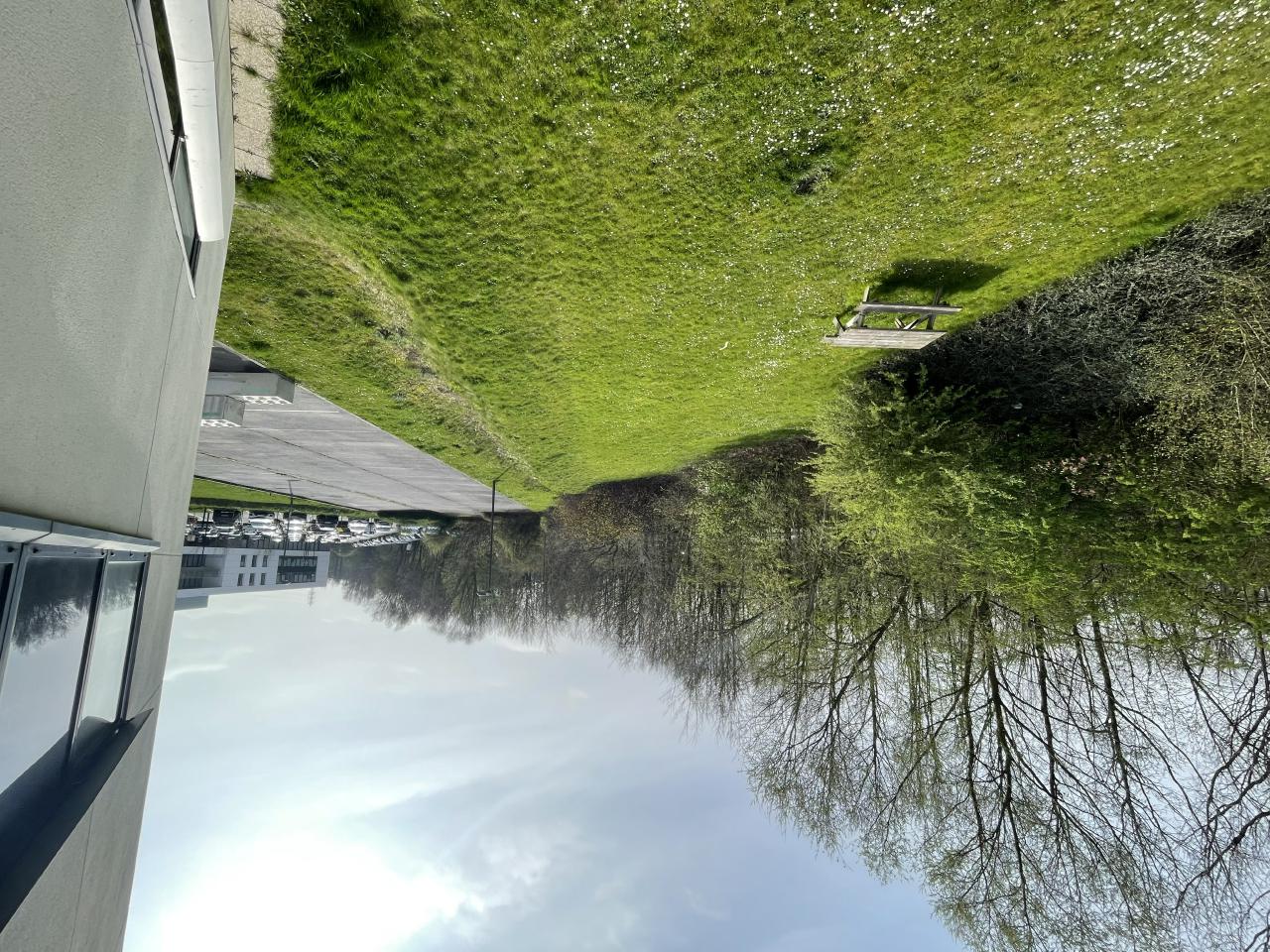 Vente bureau Wasquehal Nord OVBUR2532039 11