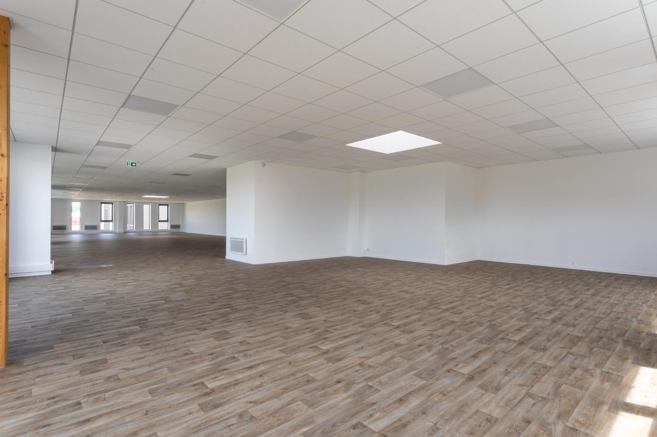 Location local d'activité Brie-Comte-Robert Seine-et-Marne OLACT2642303 3