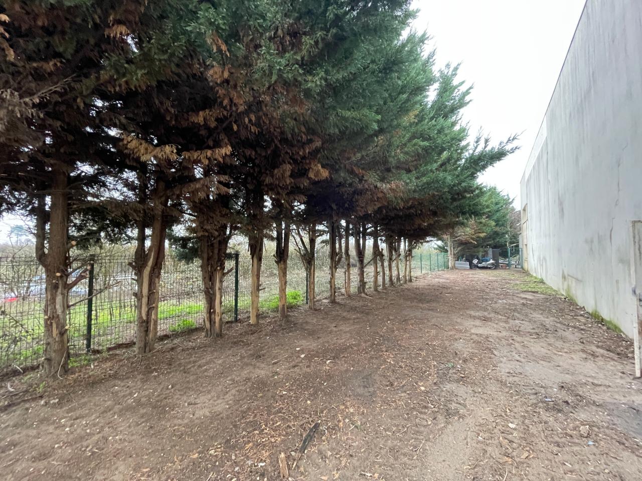 Location local d'activité Méry-sur-Oise Val-d'Oise OLACT2538058 7