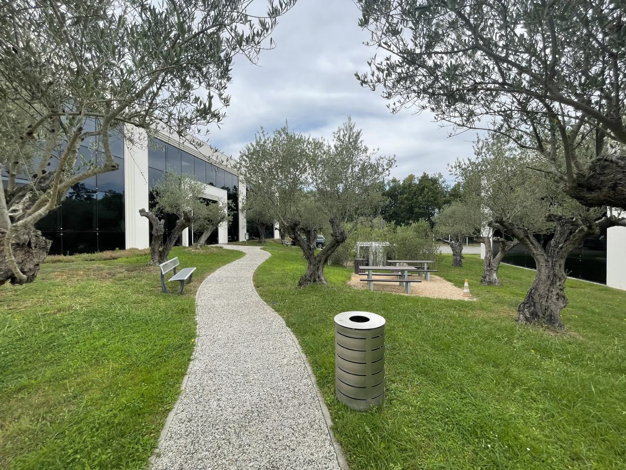 Location bureau Colomiers Haute-Garonne OLBUR2108190 5