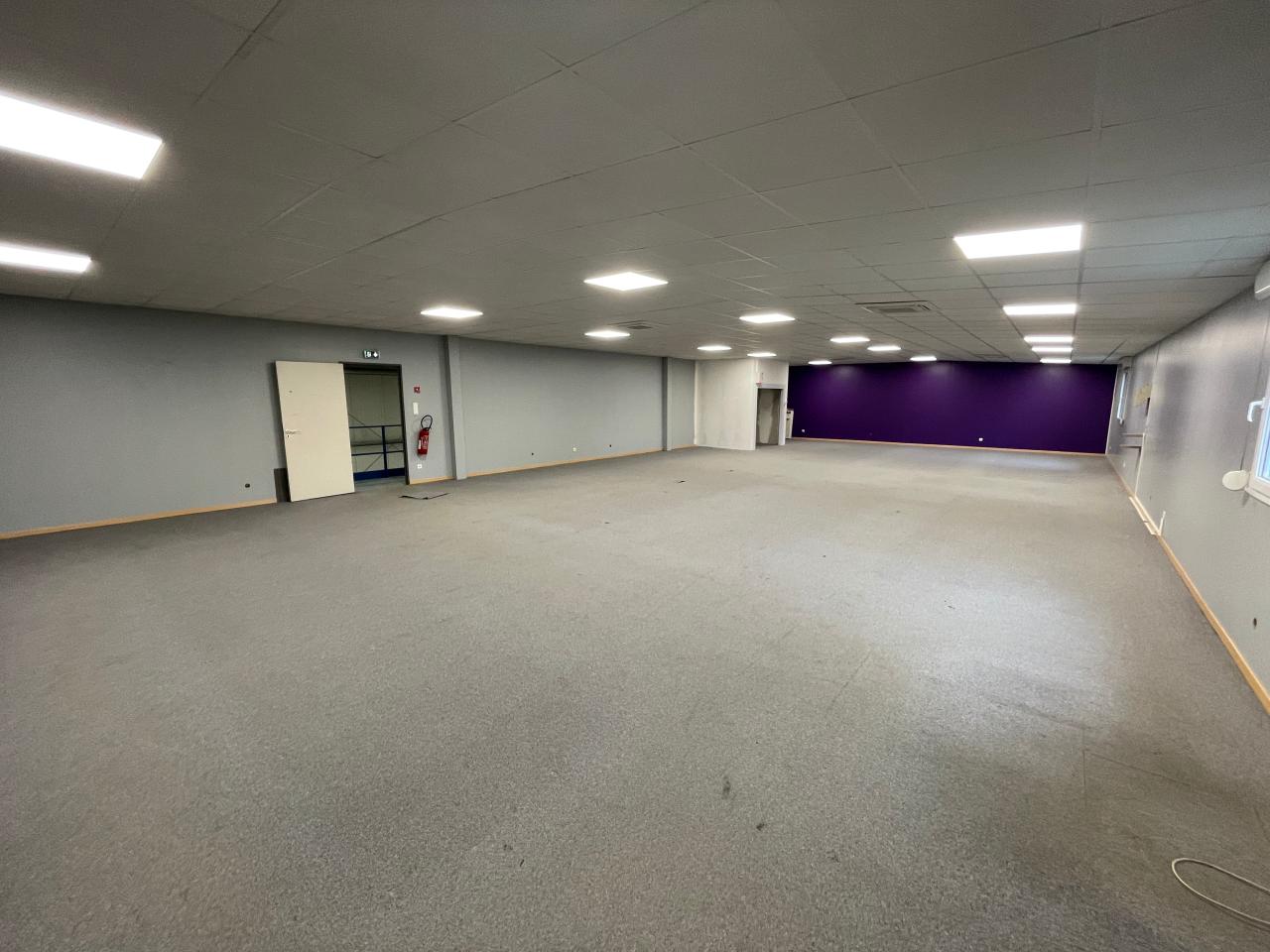 Location local d'activité Ludres Meurthe-et-Moselle OLACT2314140 21