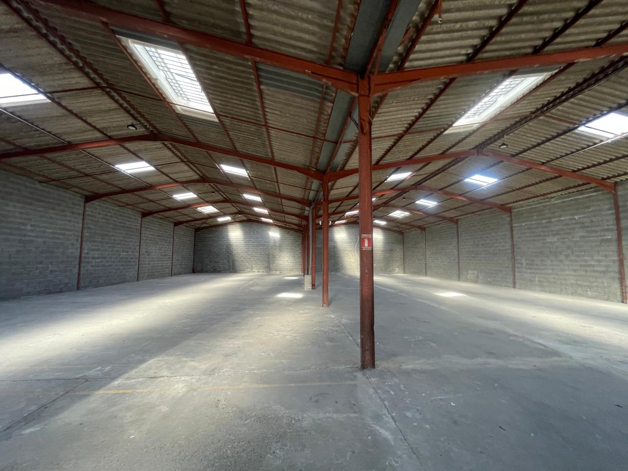 Location local d'activité Saint-Alban Haute-Garonne OLACT2530661 3