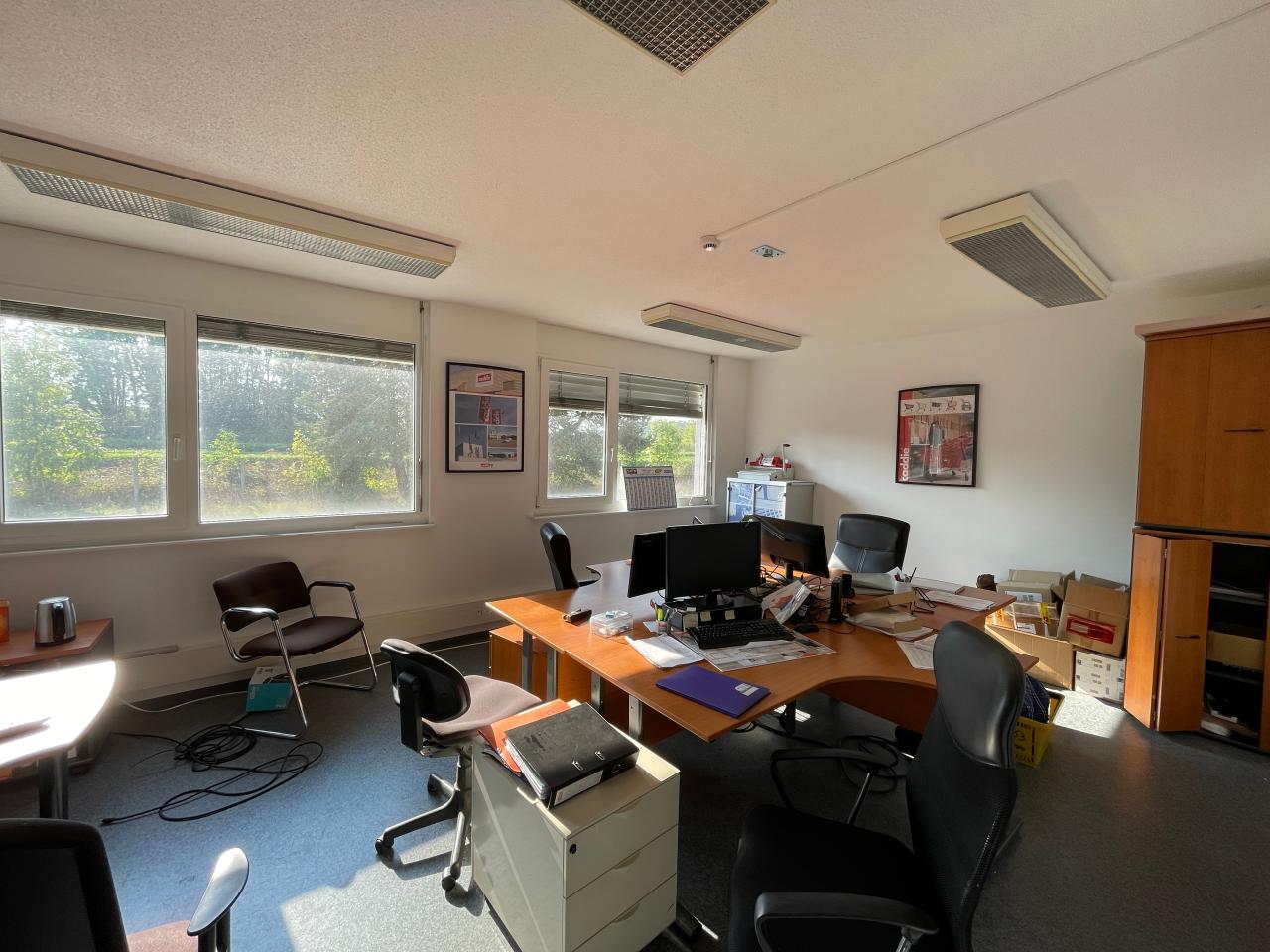 Location local d'activité Dettwiller Bas-Rhin OLACT2536553 12