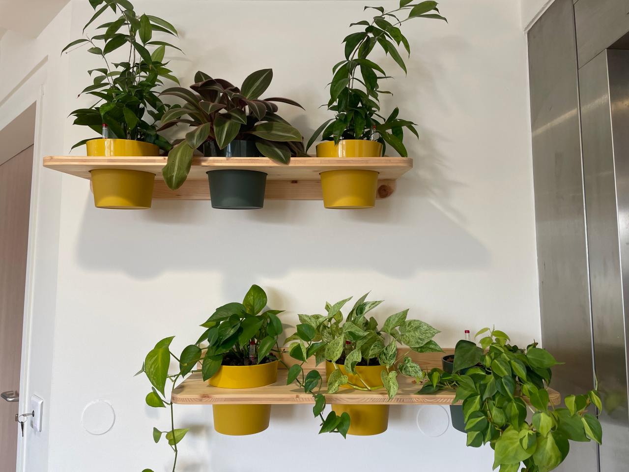 Location bureau Lyon Rhône OLBUR2424182 10