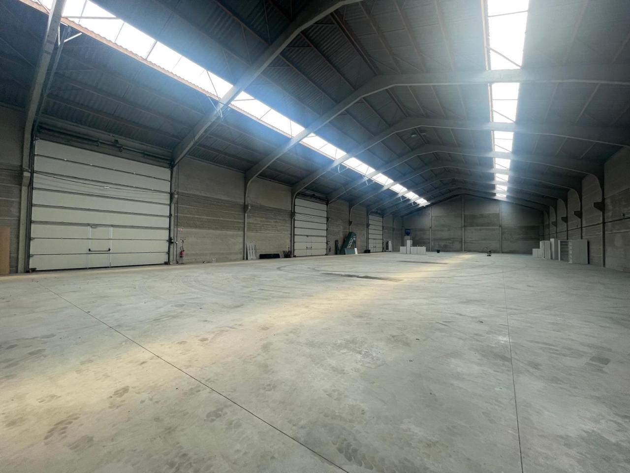 Location local d'activité Lesquin Nord OLACT2534643 8