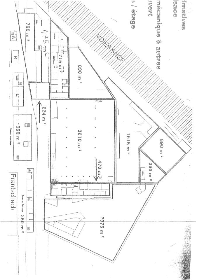 Vente local d'activité Schweighouse-sur-Moder Bas-Rhin OVACT2534996 20