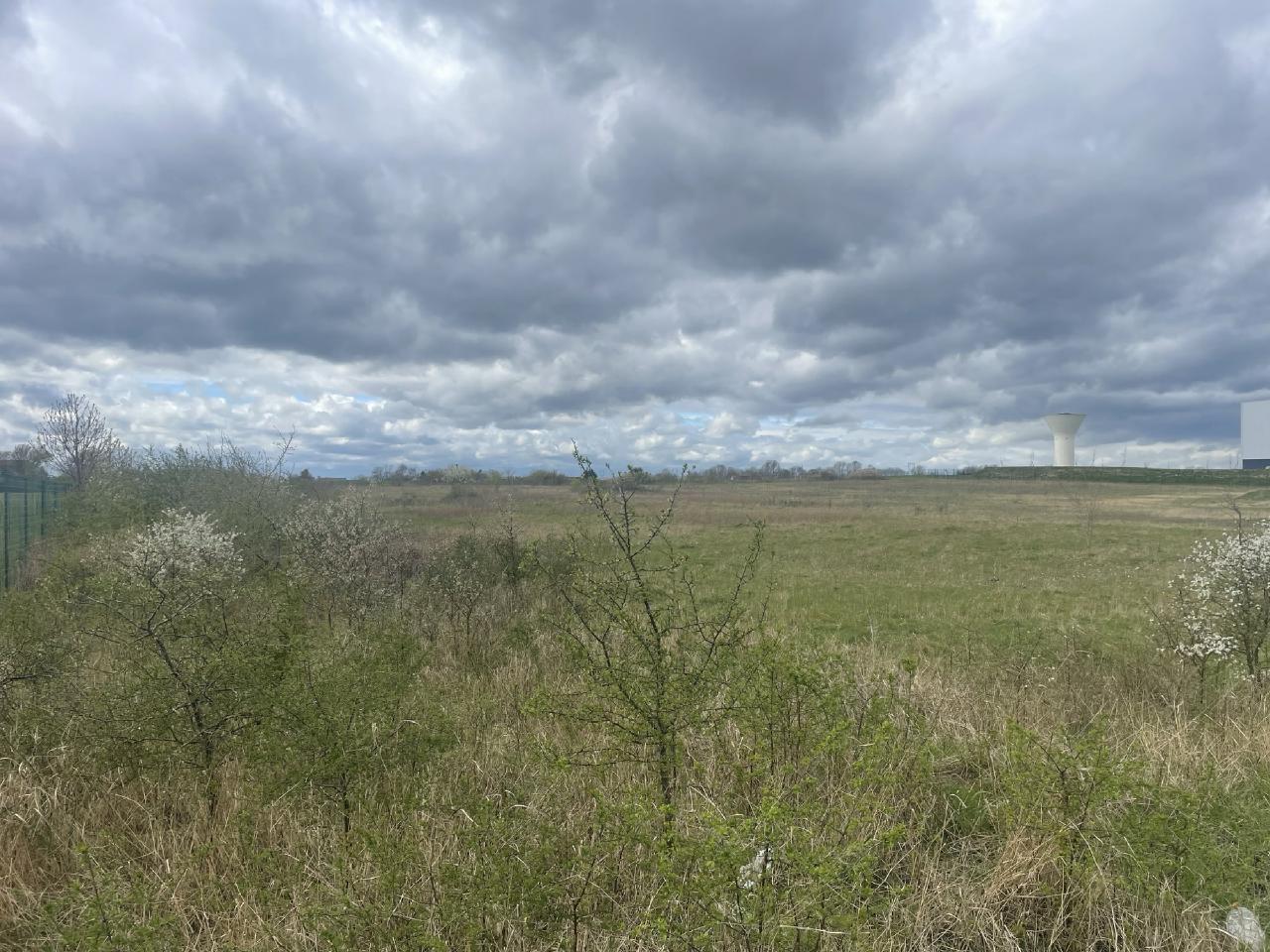 Location entrepôt Mer Loir-et-Cher OLLOG2421834 9