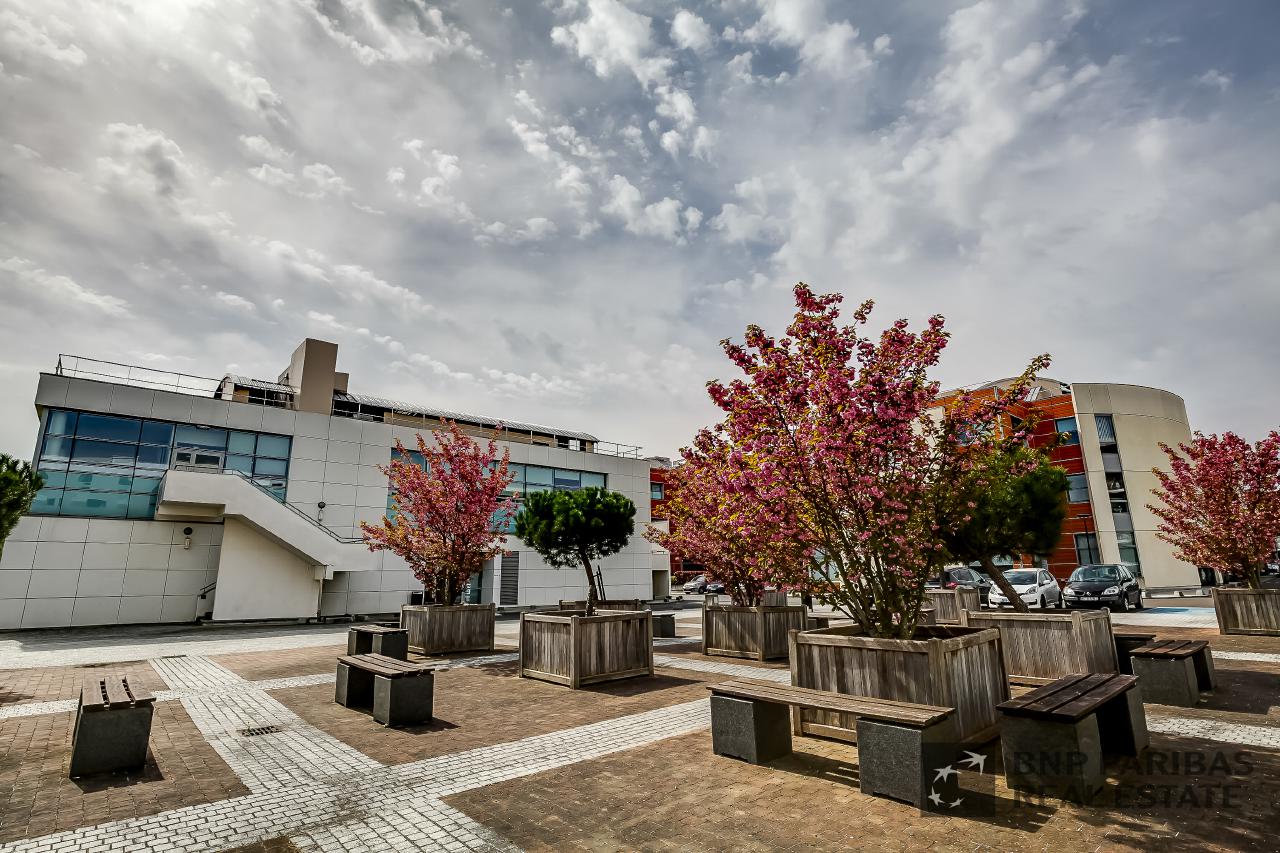 Location bureau Massy Essonne OLBUR2426866 10