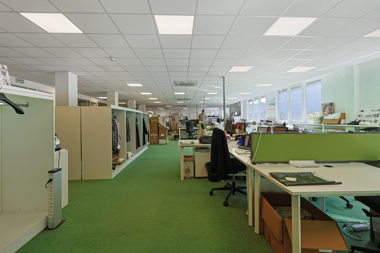 Location local d'activité Marcq-en-Baroeul Nord OLACT2639525 3