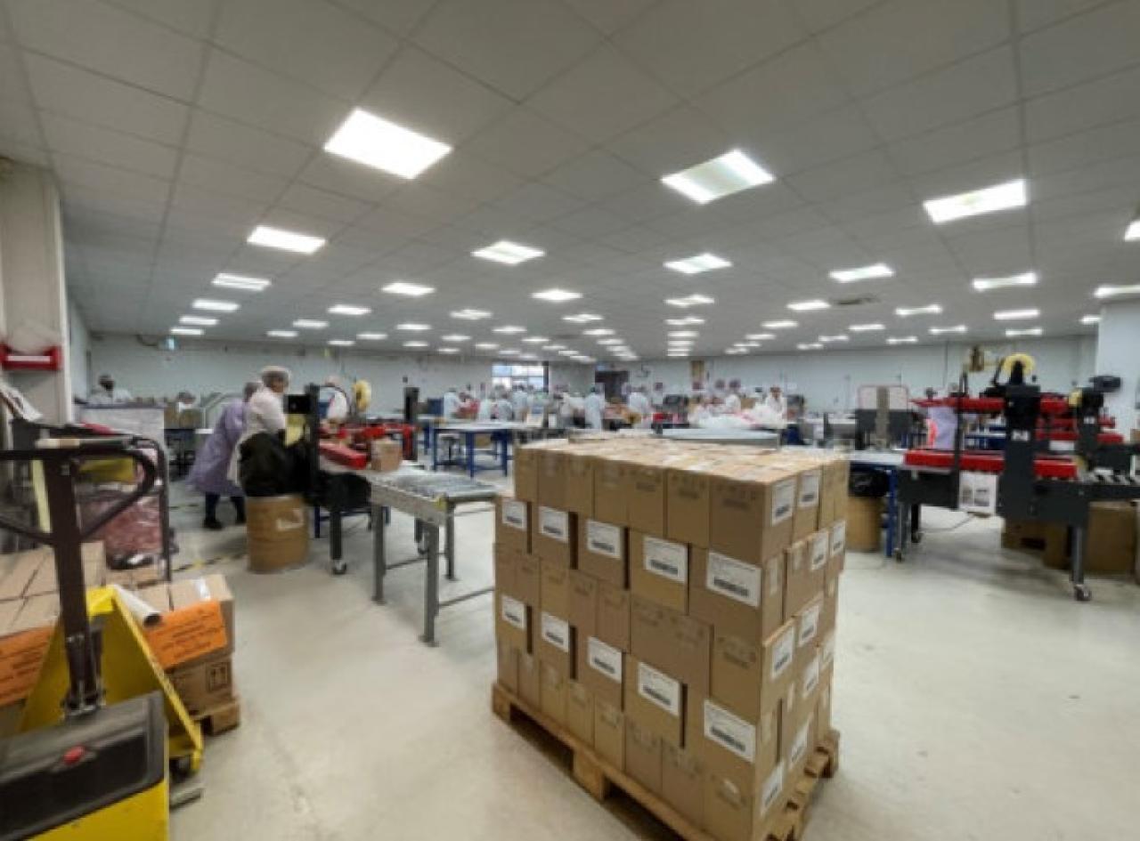 Location local d'activité Saint-Jean-de-la-Ruelle Loiret OLACT2643687 5