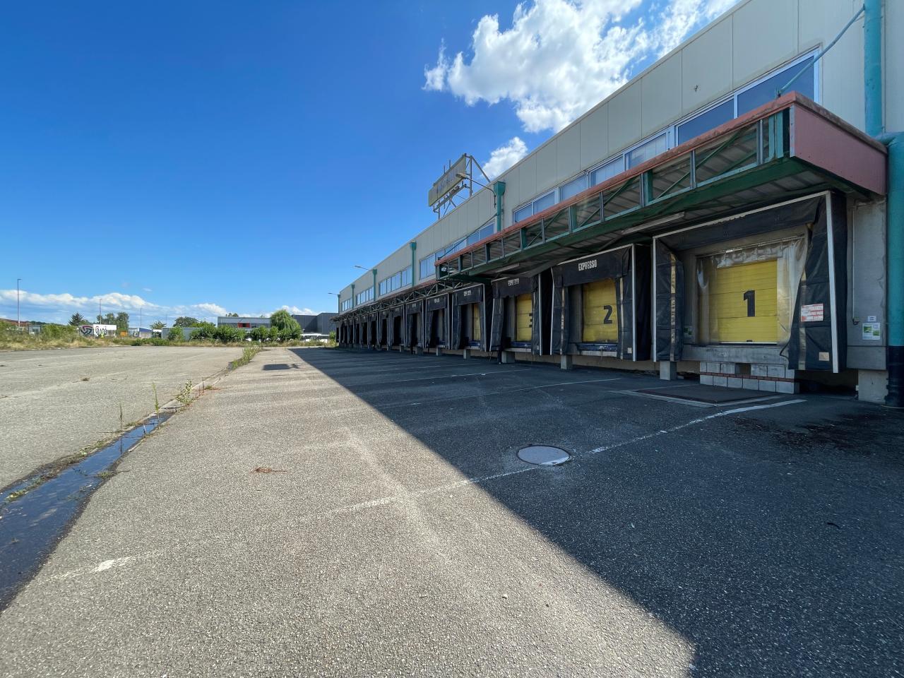 Vente entrepôt Illkirch-Graffenstaden Bas-Rhin OVLOG2537753 5