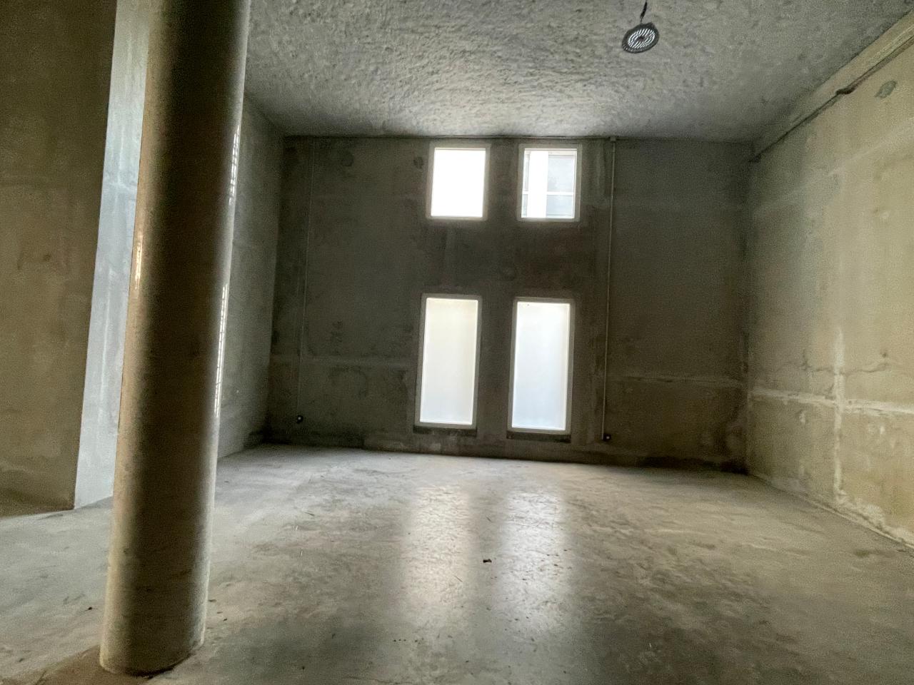 Location local d'activité Lyon Rhône OLACT2309614 8