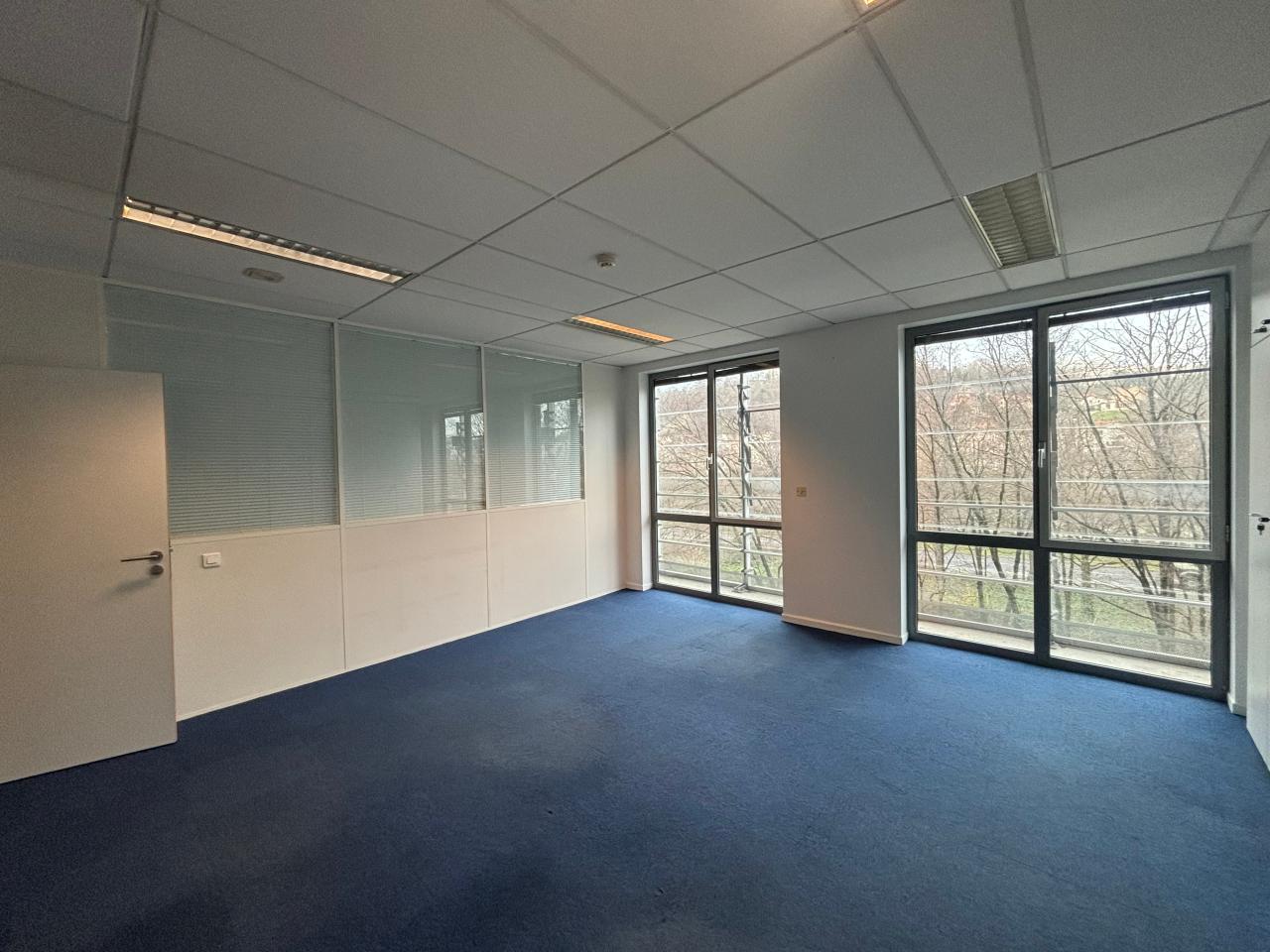 Location bureau Lyon Rhône OLBUR2536606 3