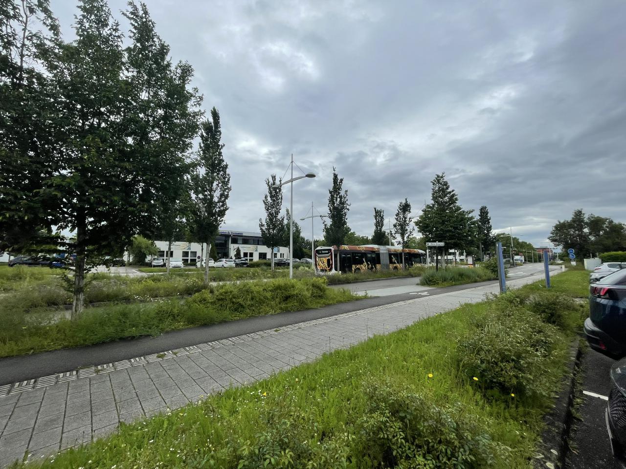 Location bureau Schiltigheim Bas-Rhin OLBUR2531885 3