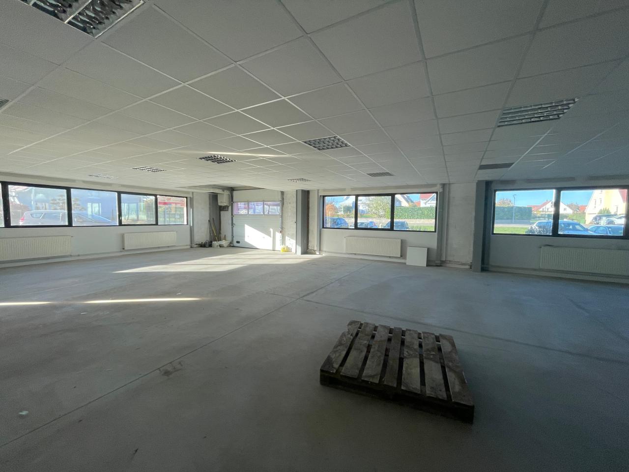 Location local d'activité Bischoffsheim Bas-Rhin OLACT2536893 3