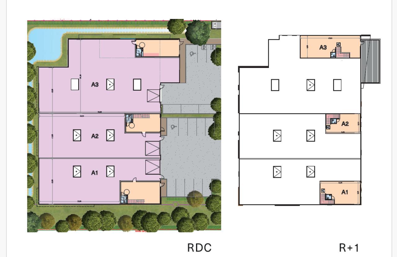 Vente local d'activité Bondoufle Essonne OVACT2002586 4