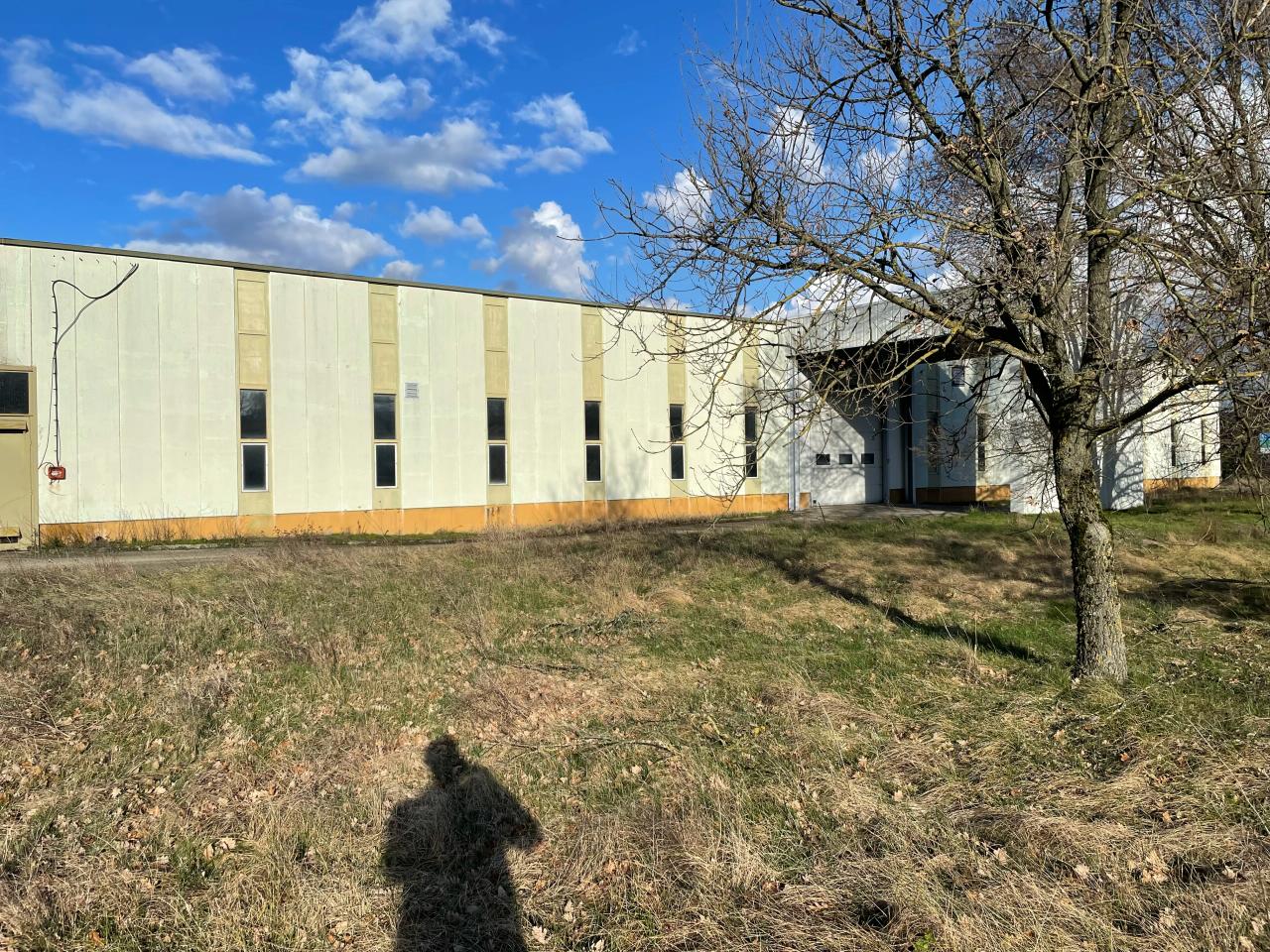 Vente local d'activité Saint-Quentin-Fallavier Isère OVACT2530621 2