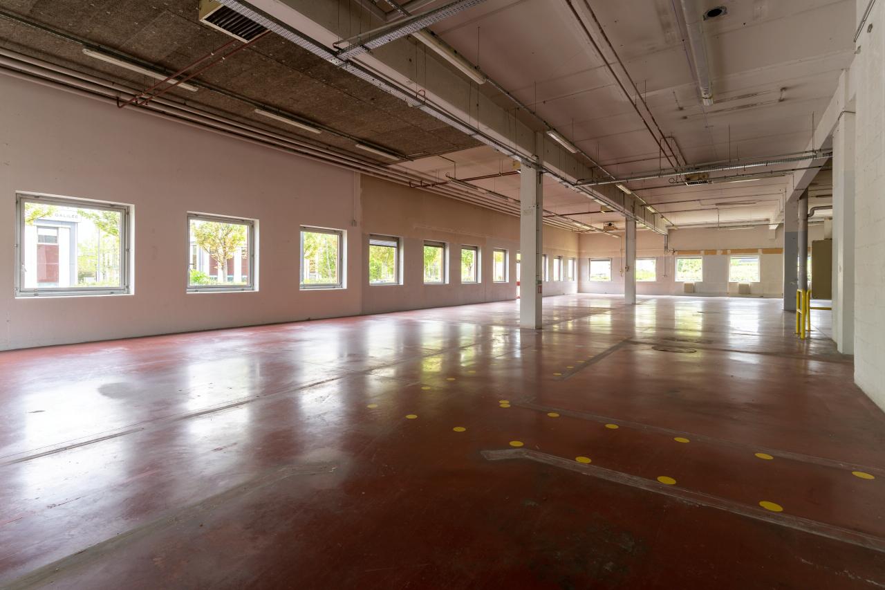 Location local d'activité Antony Hauts-de-Seine OLACT2428593 3