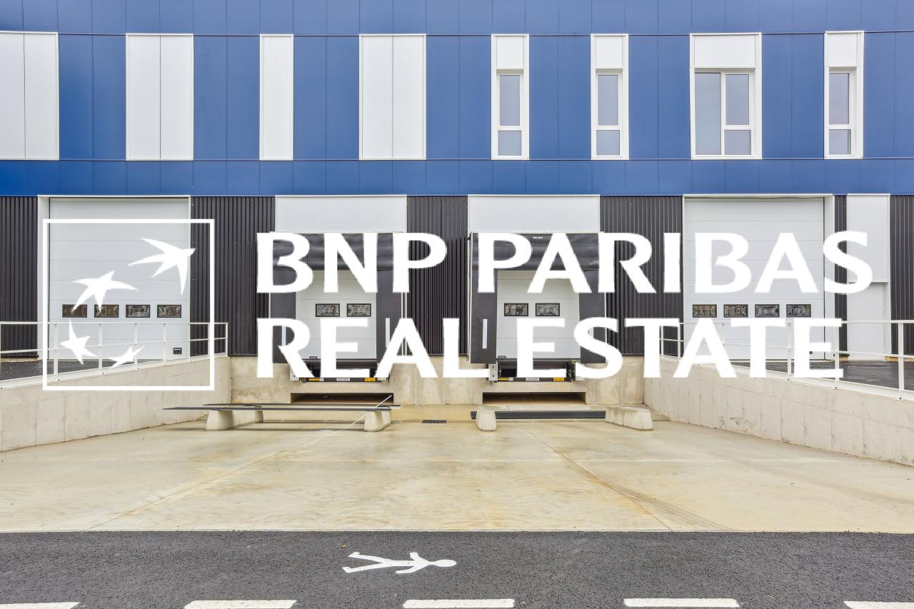 Location local d'activité Moissy-Cramayel Seine-et-Marne OLACT2201095 3