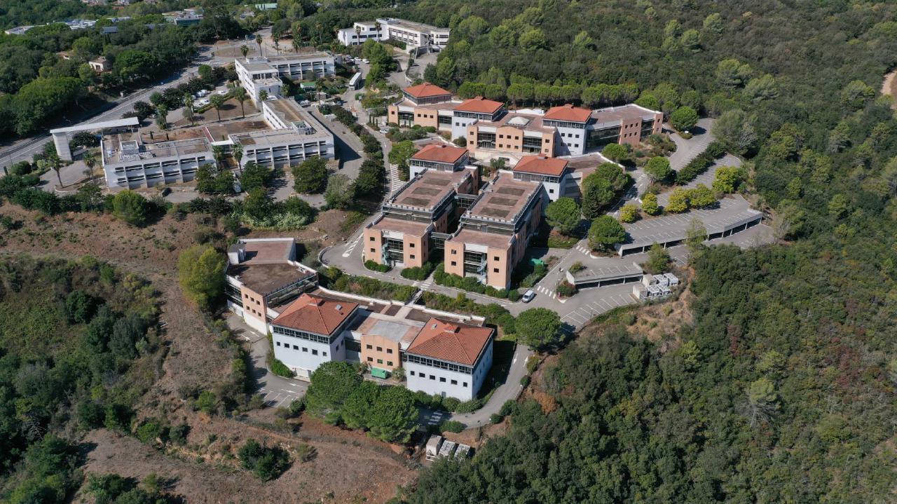 Vente bureau Biot Alpes-Maritimes OVBUR2421491 3