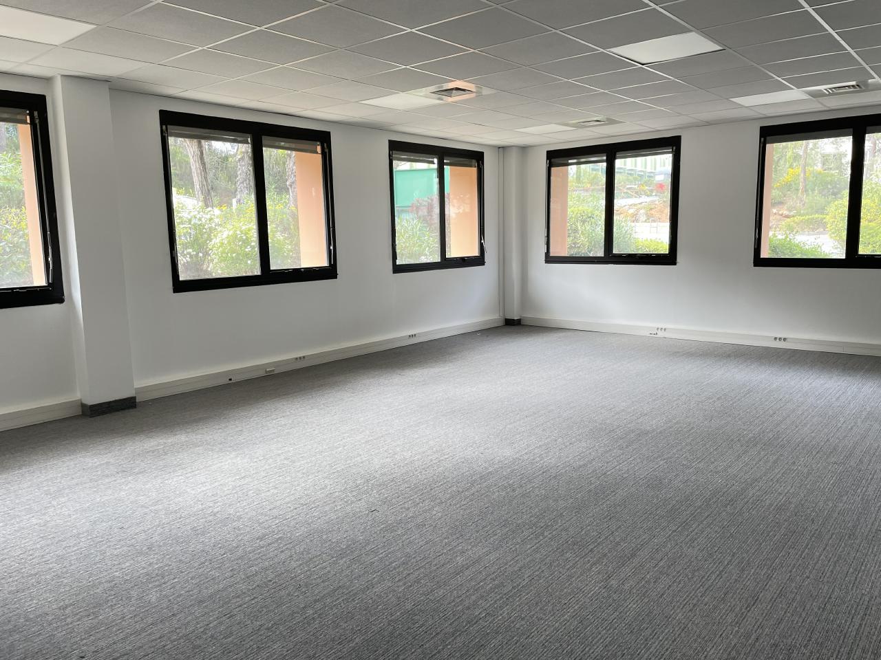 Location bureau Sophia Antipolis Alpes-Maritimes OLBUR2114913 1