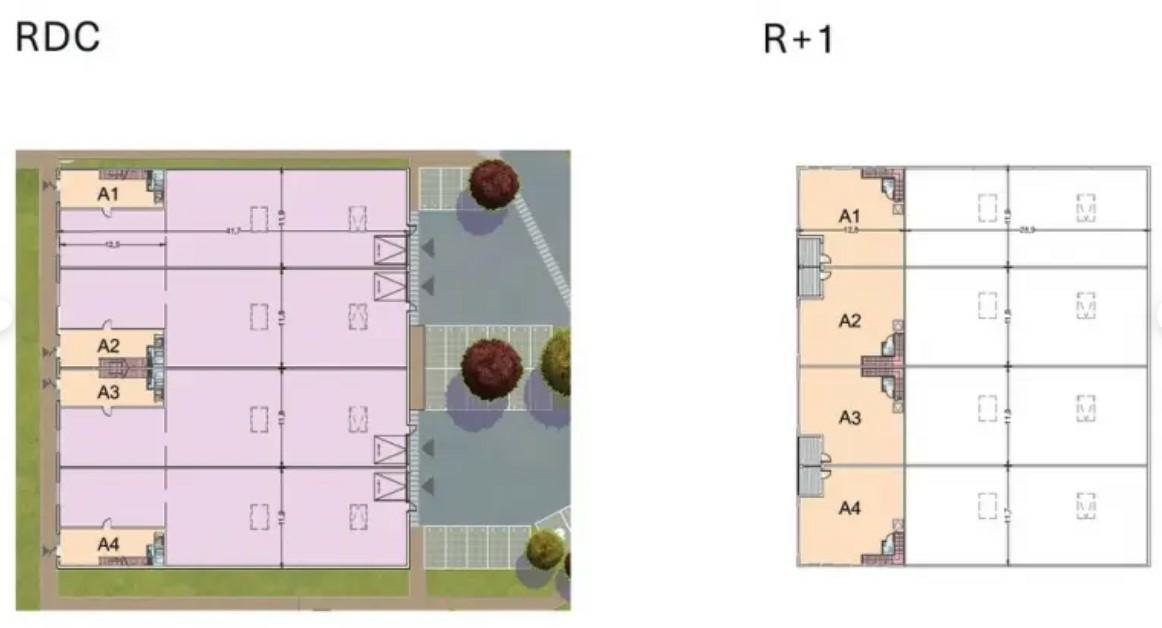 Vente local d'activité Montgeron Essonne OVACT2315626 3