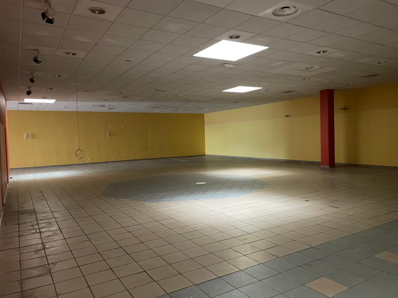 Location local d'activité Saint-Jean-de-la-Ruelle Loiret OLACT2537496 1