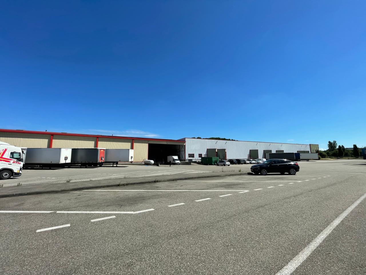 Location local d'activité Scherwiller Bas-Rhin OLACT2424468 2