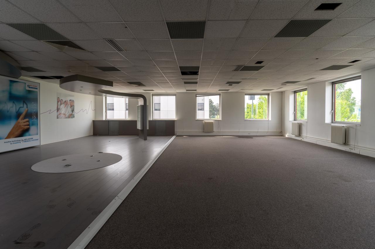 Location local d'activité Antony Hauts-de-Seine OLACT2428593 4